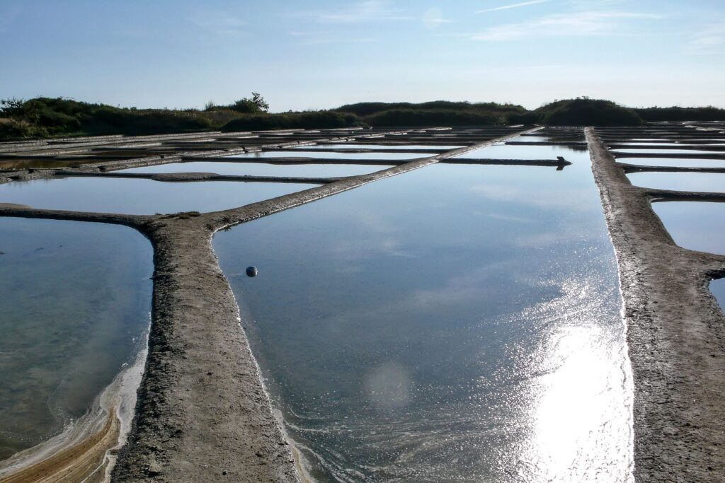 marais salants de Guérande