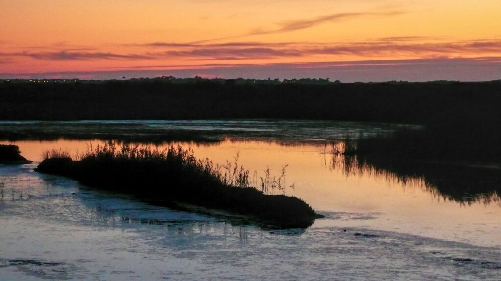 marais du parc de Brière au soleil couchant