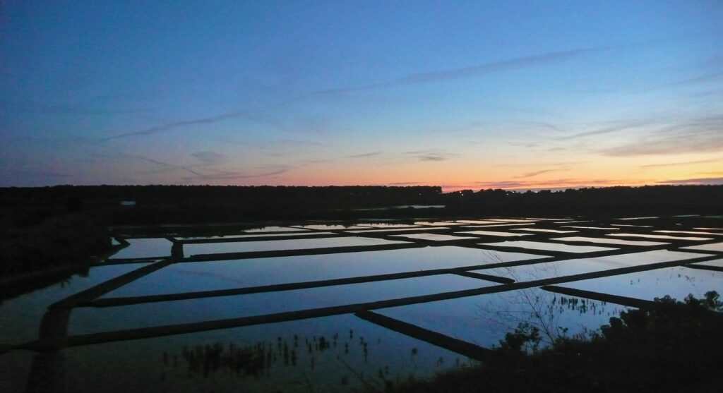 marais salants de Guérande au coucher du soleil