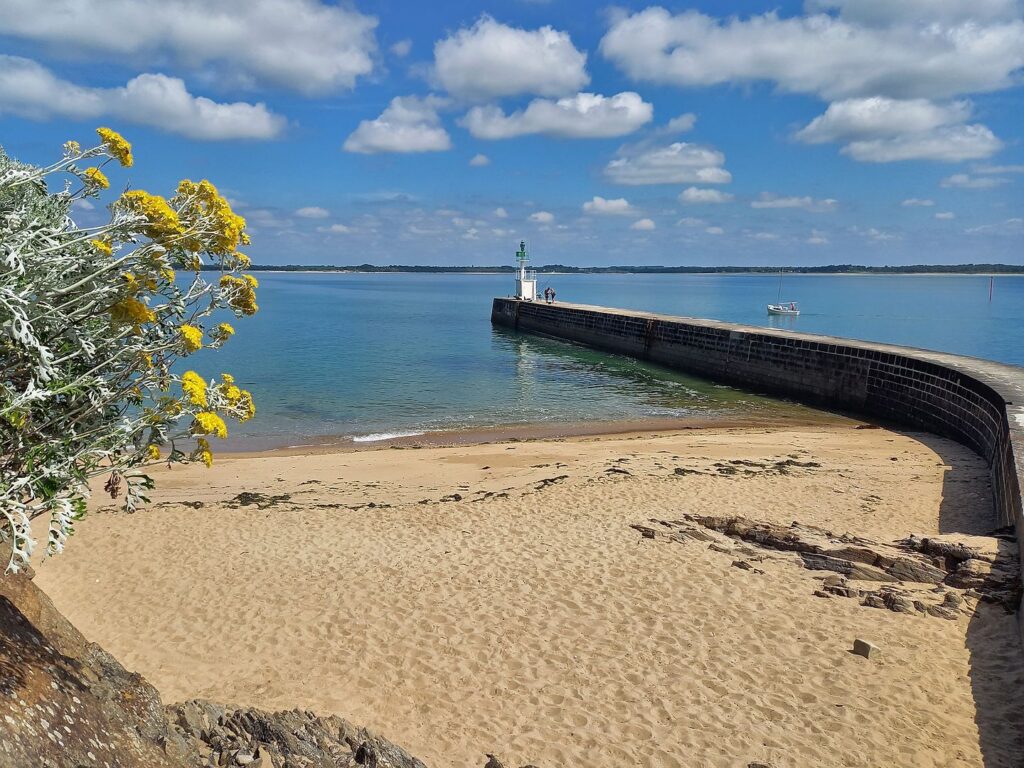 petite plage fleurie