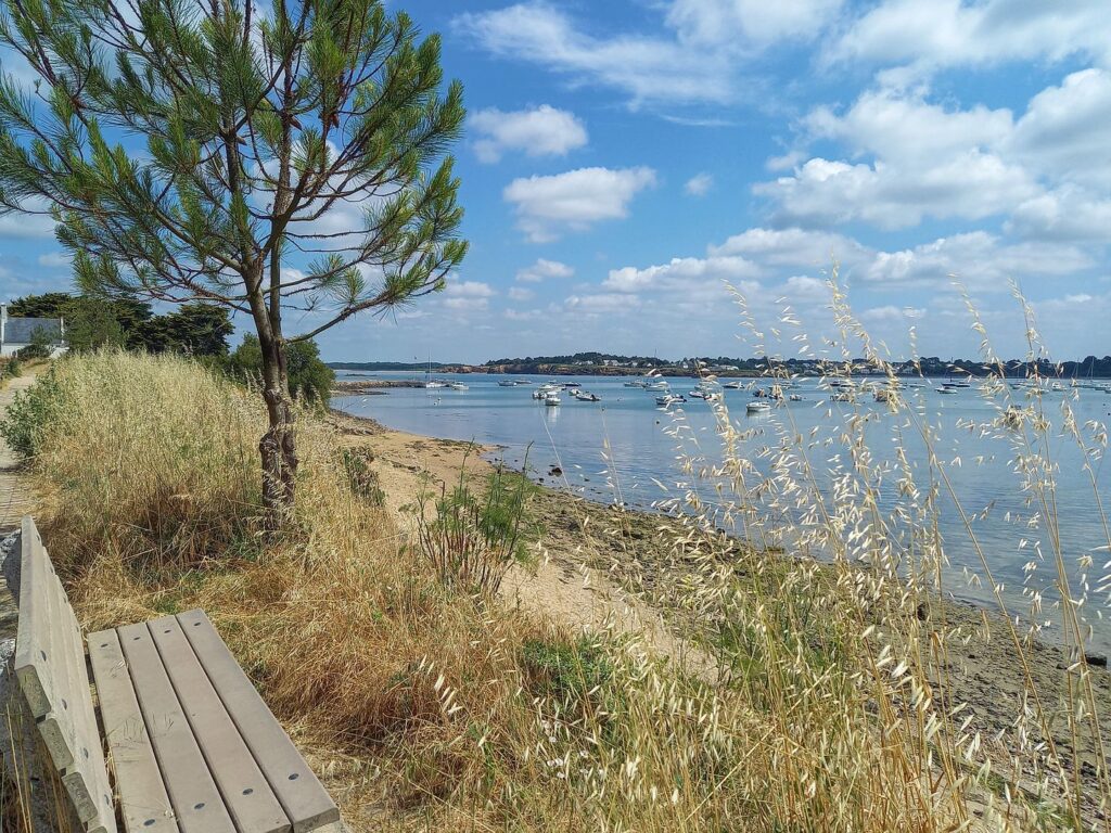 côte guérandaise